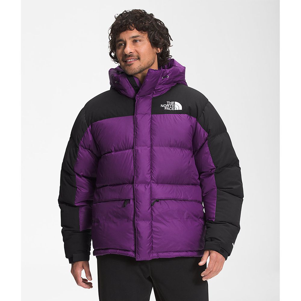 The North Face Parka Mens Australia - The North Face Hmlyn Purple (VCH-385726)